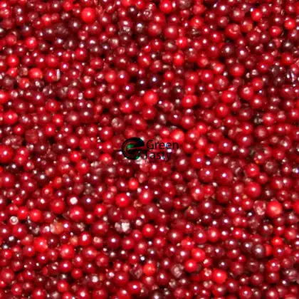IQF Frozen Fruits of Lingonberry