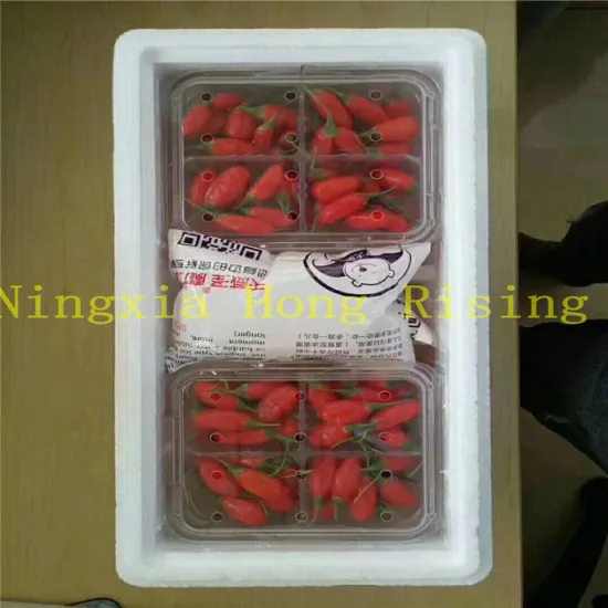 Organic fresh goji berry 2018