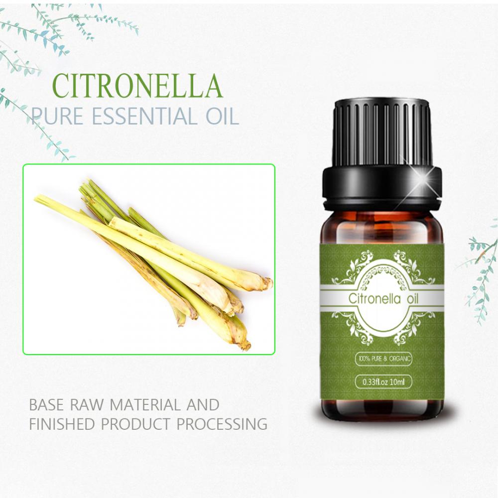 Precio a granel 100%Pure Natural Citronella Essential Oil 10 ml