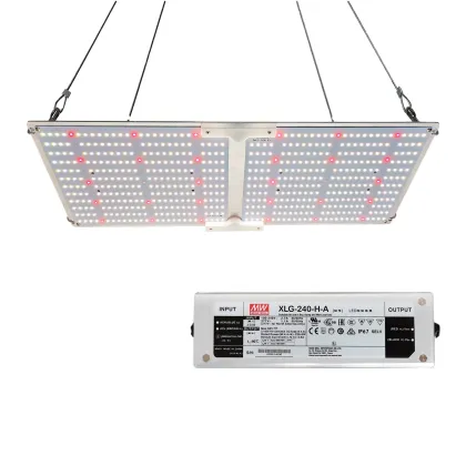 240W G2000 Full Spectrum LED Grow Light with Dimmer Knob