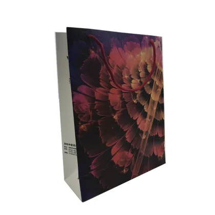 Matt lamination rope handle packaging bag