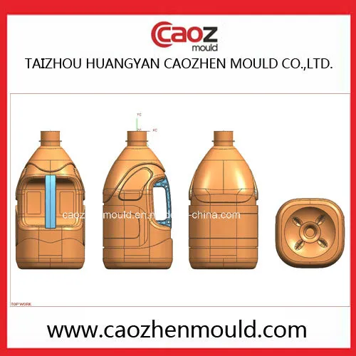 Professional Manufacture of Plastic Oil Bottle Blowing Mould