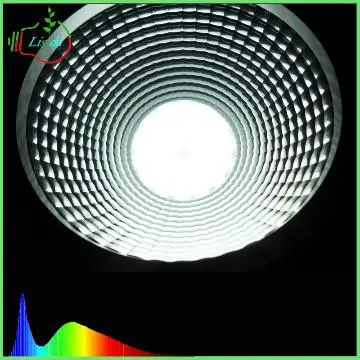 LED Downlights for Flos Lighting