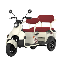 Multi seater electric tricycle for household use