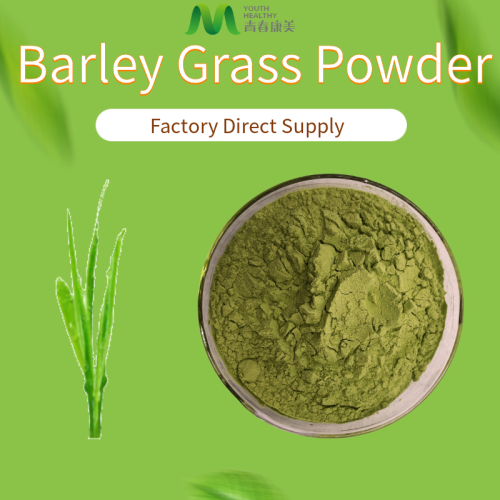 Best Barley Grass Green Juice Powder
