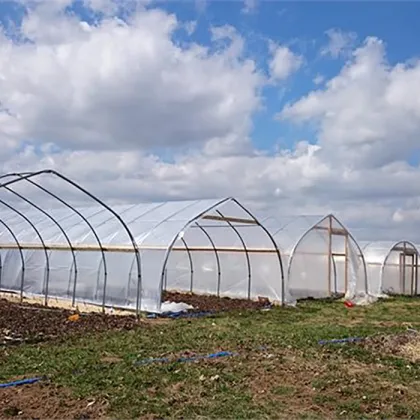 Long Life Prefabricated Simple Structure Tunnel Greenhouse