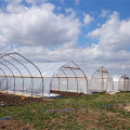 Long Life Prefabricated Simple Structure Tunnel Greenhouse