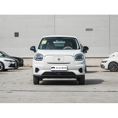 LeapMotor T03 Electric Builling Mini Car