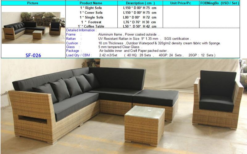 Outdoor PE Rattan Sofa Set (SF-026)
