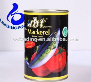 High (Good) Quality Customized Fresh Whole Canned Mackerel with Tomato Sauce