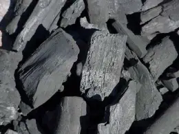charcoal
