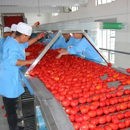Automatic Tomato Sauce Production Line: Processing and Manufacturing Equipment