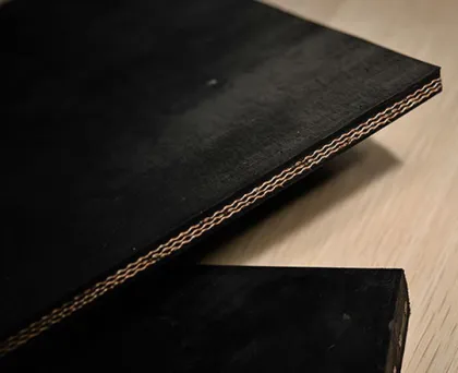 Multi-ply Fabric (EP/EE/NN/Cotton) Conveyor Belt