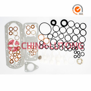 Juego De ReparacióN Repair Kit 2 417 010 002 Diesel Injection Gasket Tool For BMW