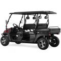 4 SEAT EFI 800CC UTV fibra de carbono