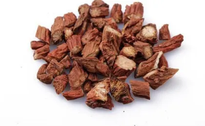 Salvia miltiorrhiza Bge .