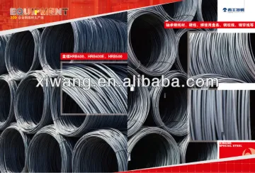 Steel Wires