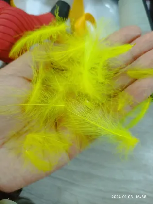 Wholesale CDC Fly Tying Duck Feathers - Water Repellent Duck Green Glands Butt Feathers for Dry Fly Tying