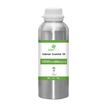 Aceite esencial de valeriano 100% puro y natural Aceite esencial al por mayor de alta calidad Bluk para compradores globales El mejor precio