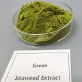 สารสกัดจากสาหร่ายทะเลแปรรูปเย็น