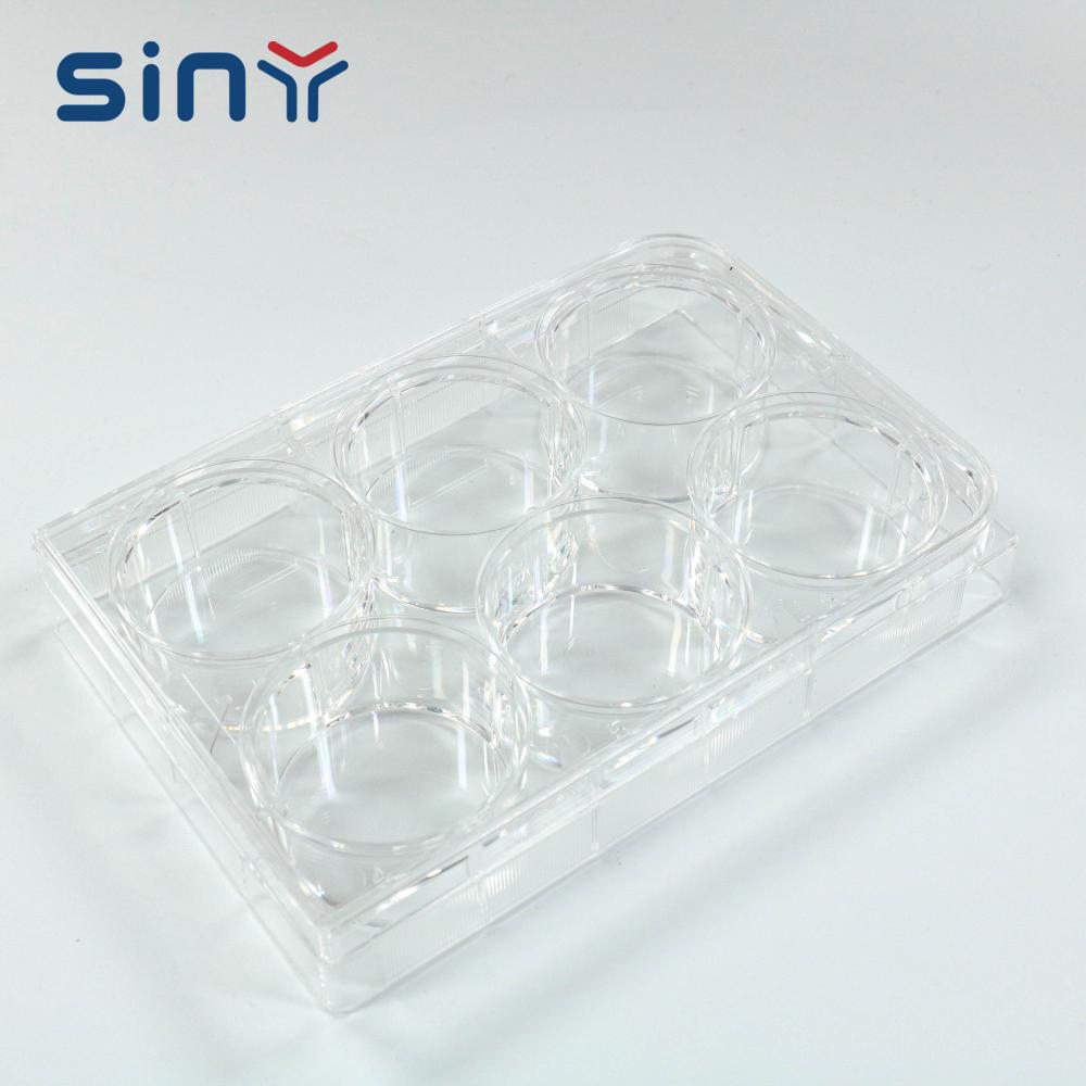 Cell Culture Plate