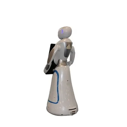 Interactive Robot For Commercial Advertising Service