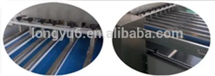 Automatic Frozen Shortbread Cutter For Sale