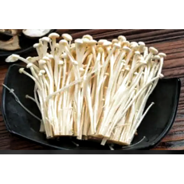 Natural Mushroom Flammulina Velutipes Extract Enoki Organic Extract