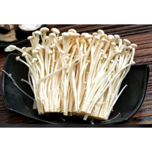 Natural Mushroom Flammulina Velutipes Extract Enoki Organic Extract
