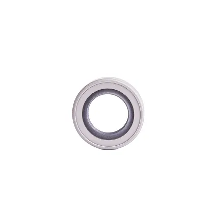 High Quality Pressure Oil Seal 19*35.1*8.5 PTFE+Q215 for Parker 391-2883-259