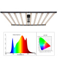 1000W Large Size Grow Light Quick Heat Dissipation