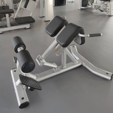 Adjustable Bench Free Weight Roman Chair For Gym