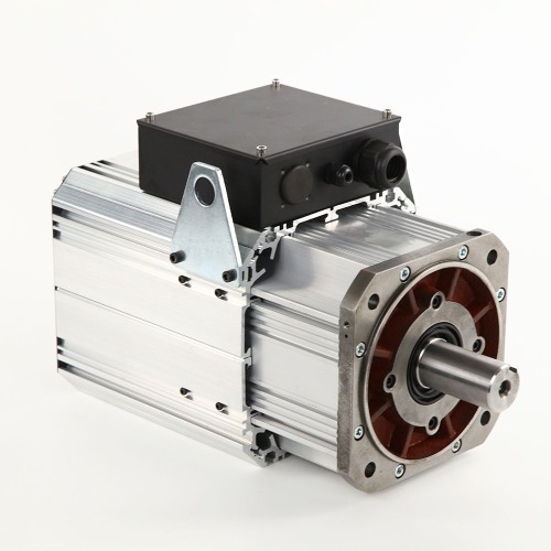 Permanent Magnet Synchronous Motor for Electric Vehicles