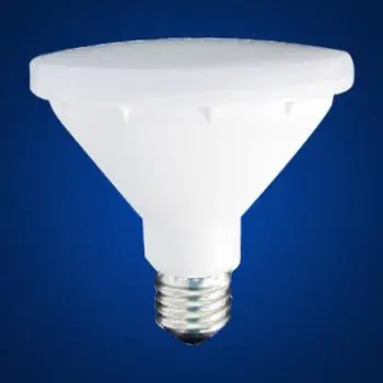 LED PAR30 SPOT HIGHT 10W