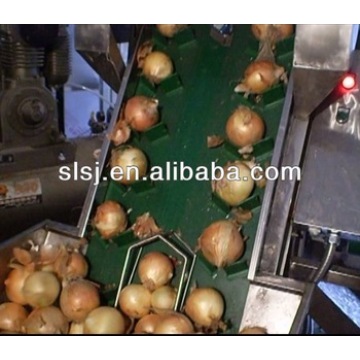 High Quality Automatic Onions Peeler