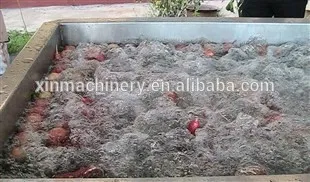 Automatic Fruit Vegetable Washing Machine; Washing Machine for fruit and vegetable