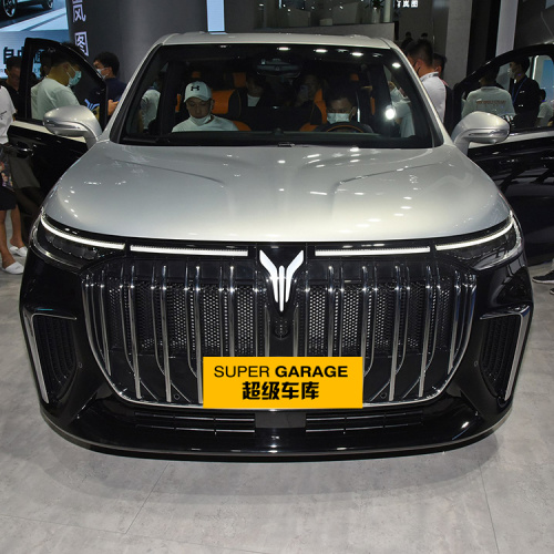 Dreamer Voyah Dreamer MPV 2024 Hot Sale Luxury