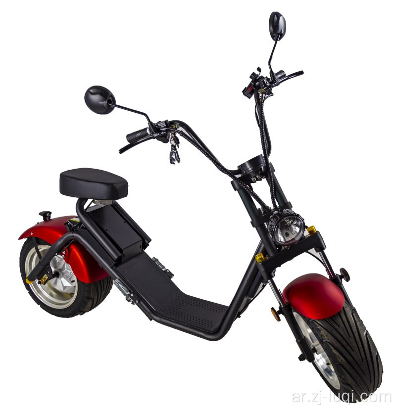 City COC Scooter EEC Version Harley Citycoco 60V