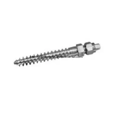 Orthopedic Implants: 5.5 Thoracic Vertebra Centrum Screws