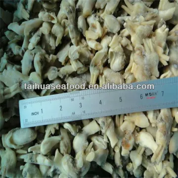 frozen and live razor clams