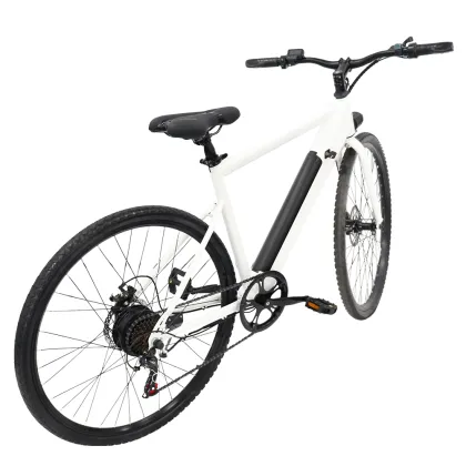 E-bike road e-bike white