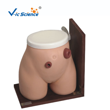Advanced Ostomy Nursing Model