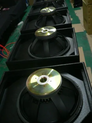 10'' Woofer 300w 8ohm Neutrik Nl4 Connector Professional Theatre Audio Equipment