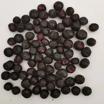 Factory Price Freeze Dried Fruit Freeze Dried Blueberries