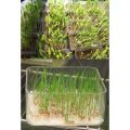 /msite/products/detail/productid/66368081/id/1603405.html