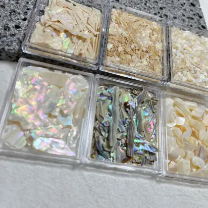 Natural Irregular Sea Shell Slice Nail Art Decoration