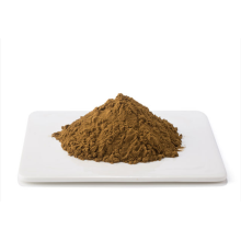 High quality Hoodia Gordonii extract powder Hoodia Gordonii