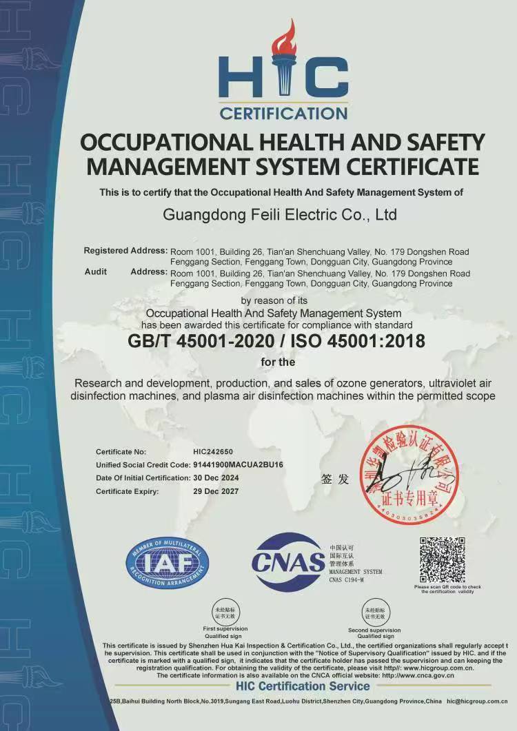 Feili ISO45001 Certificate