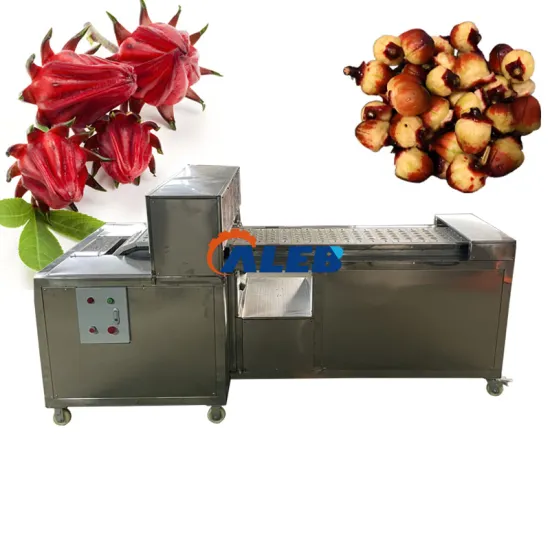Professional Roselle Core Removing Machine: Efficient Solution for Roselle Processing