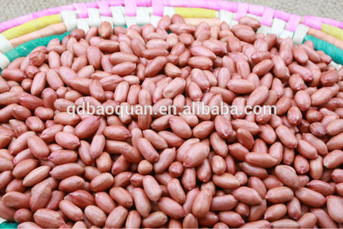 Chinese New Crop Peanuts (34/38)